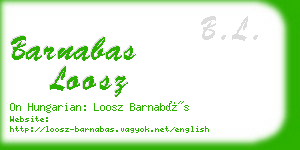 barnabas loosz business card